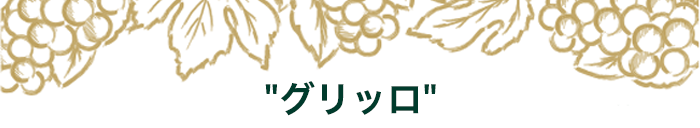 期間限定セットの中身はこちら