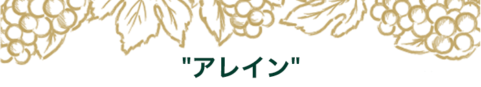 期間限定セットの中身はこちら