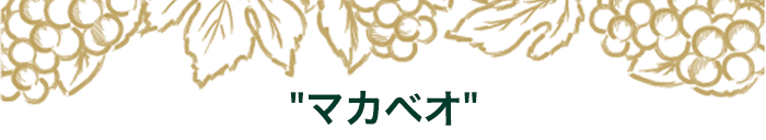 期間限定セットの中身はこちら