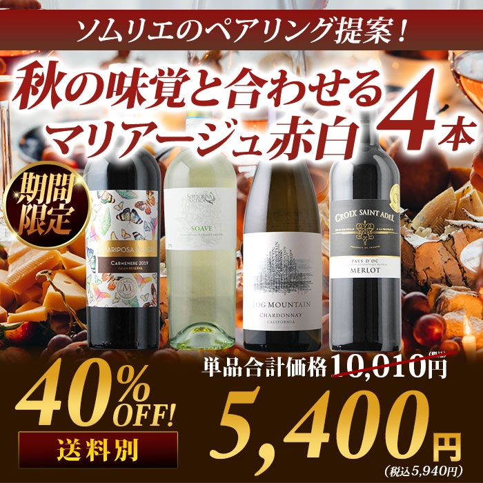 ☆10/15限定クーポン全品10%OFF☆先着200名様 ワインセット 秋の味覚を