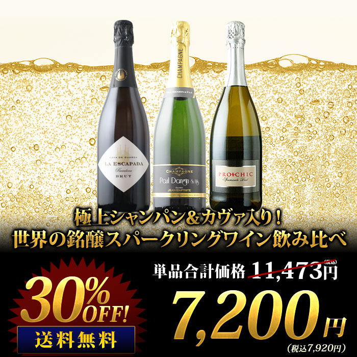 極上シャンパン＆カヴァ入り！世界の銘醸スパークリングワイン飲み比べ