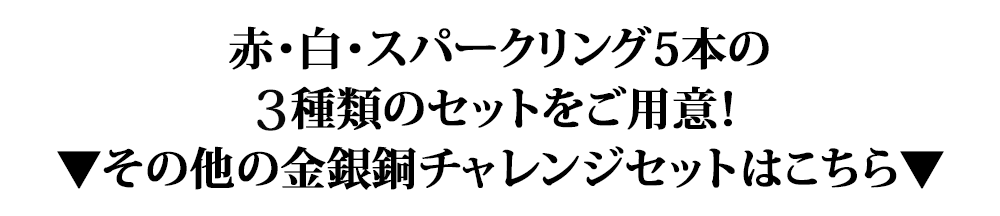 金銀銅チャレンジセット　全6種類！この他のセットはこちら