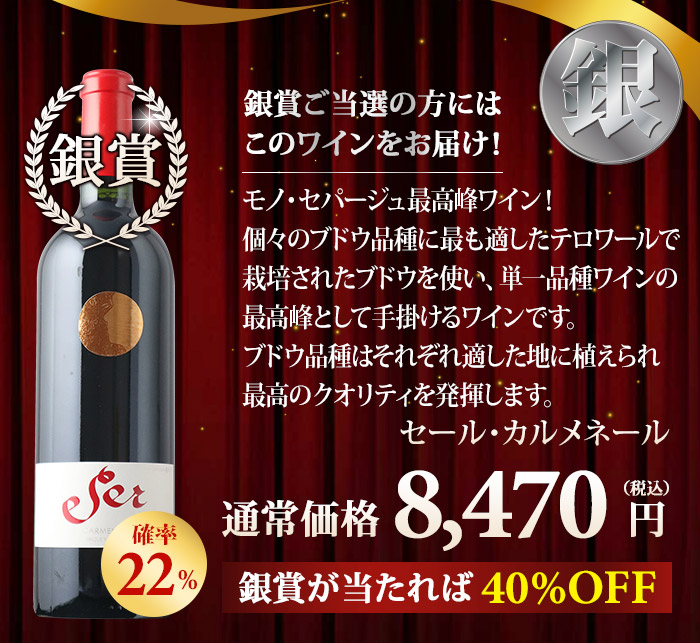 銀賞！