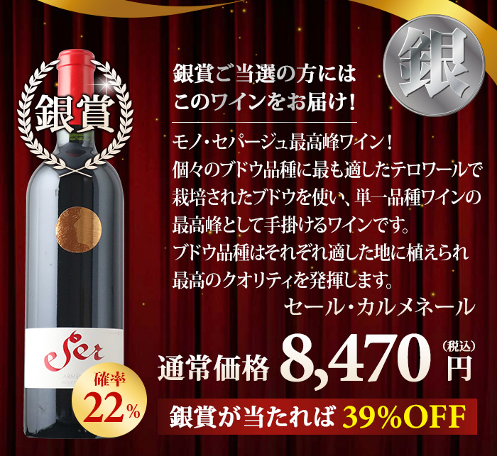 銀賞！