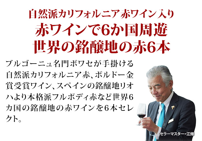 世界７ヵ国のバラエティ豊かなワインが堪能できる