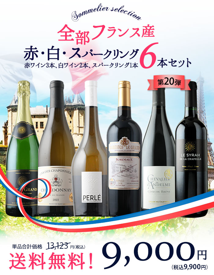 送料無料 ソムリエ厳選 全部フランス産　赤・白・スパークリング6本セット