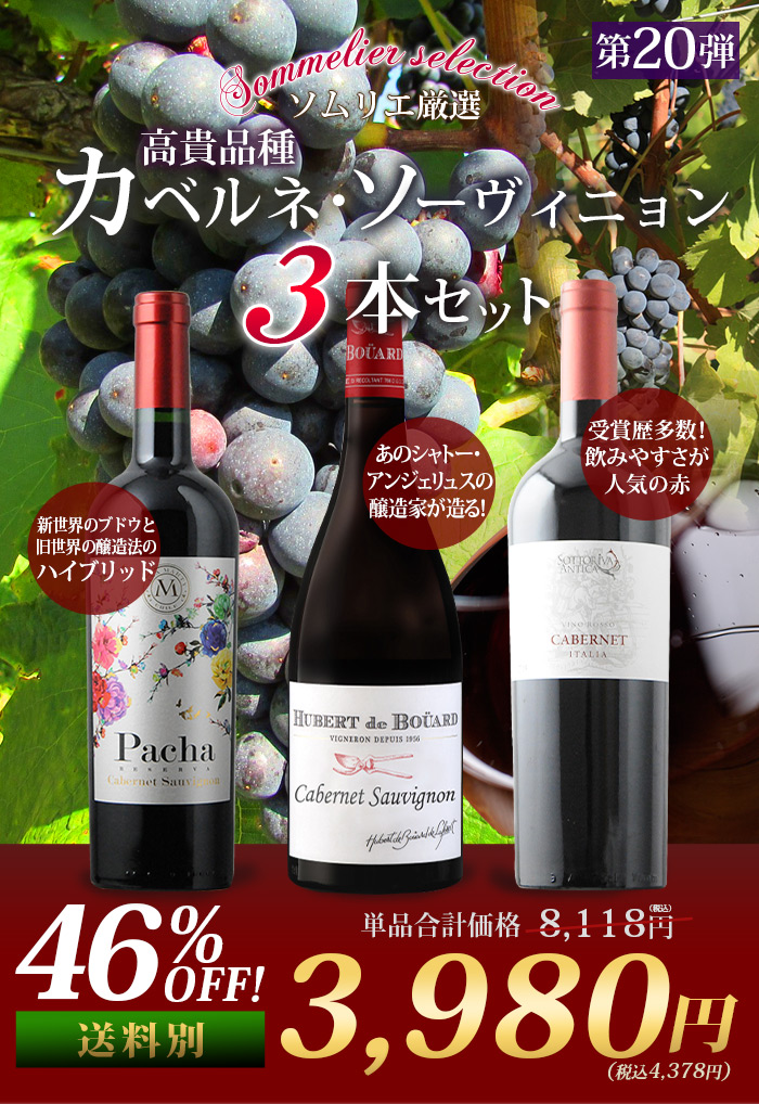 ブッチェラ カベルネ・ソーヴィニヨン (2017) ブッチェラ 2017