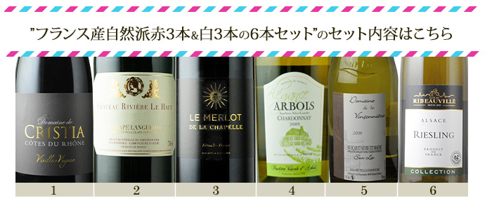 送料込 貴重な自然派ワイン6本セット - 酒