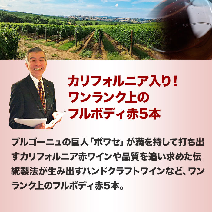 フルボディ赤6本セット