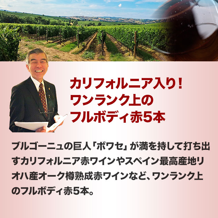 フルボディ赤6本セット