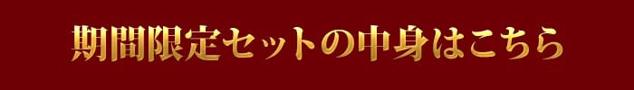 【固定】セット内容はこちら