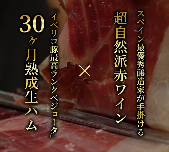ギネス世界記録認定・夢のコラボレーション