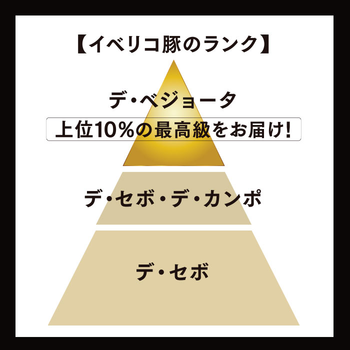 チャート