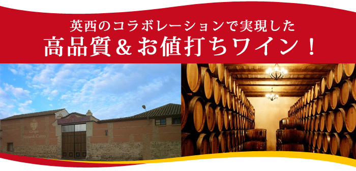 マジア・Ｊ・メルロ アルケミー・ワインズ 2020年 スペイン カスティーリャ・ラ・マンチャ 赤ワイン ミディアムボディ 750ml | ワイン通販なら ワインショップソムリエ