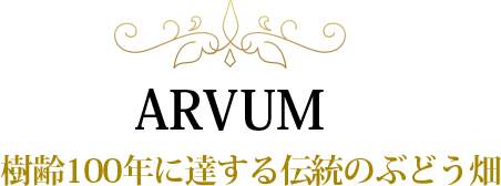ARVUM樹齢100年に達する伝統のぶどう畑