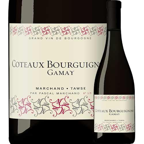コトー・ブルギニョン マルシャン・トーズ 2019年 フランス ブルゴーニュ 赤ワイン ミディアムボディ 750ml