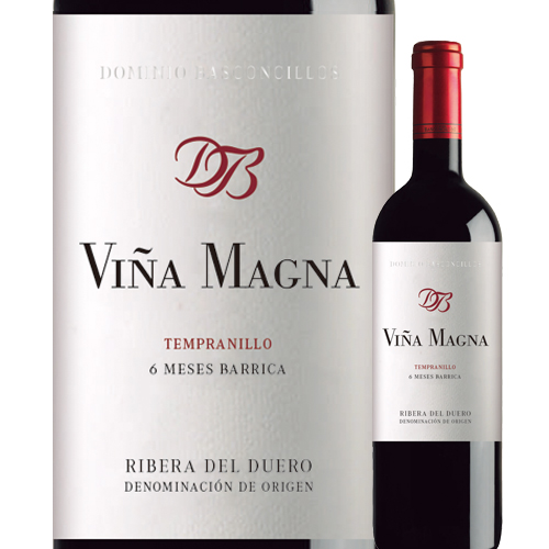 ヴィニャ・マグナ　6メセス・バリカ ドミニオ・バスコンシリョス 2019年 スペイン リベラ・デル・デュエロ 赤ワイン フルボディ 750ml