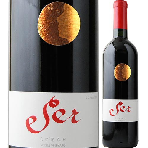 セール・シラー ヴィニャ・マーティ 2015年 チリ マイポ・ヴァレー 赤ワイン 750ml