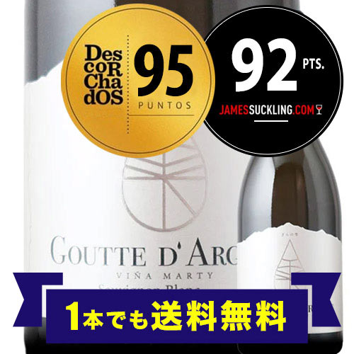 「1本でも送料無料」ぎんの雫 グット・ダルジャン ソーヴィニョン・ブラン ヴィニャ・マーティ 2024年 チリ レイダ・ヴァレー 白ワイン 辛口 750ml
