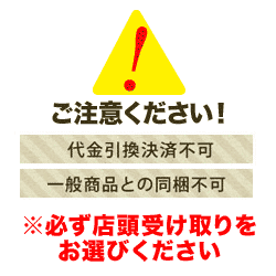 【六本木店頭受取のみ】手作りのクリスマスケーキ2024　ノエル・リュクス～special style仕立て～（5号 5～6名様サイズ）【ココアンジュ】