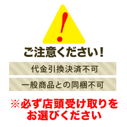 【六本木店頭受取のみ】手作りのクリスマスケーキ2025　ノエル・ピスターシュ ～甘美なフリュイと～（2名様サイズ）【ココアンジュ】