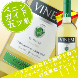 ヴィネム・ブランコ ヴィネルジア 2020年 スペイン アラゴン 白ワイン 中辛口 750ml