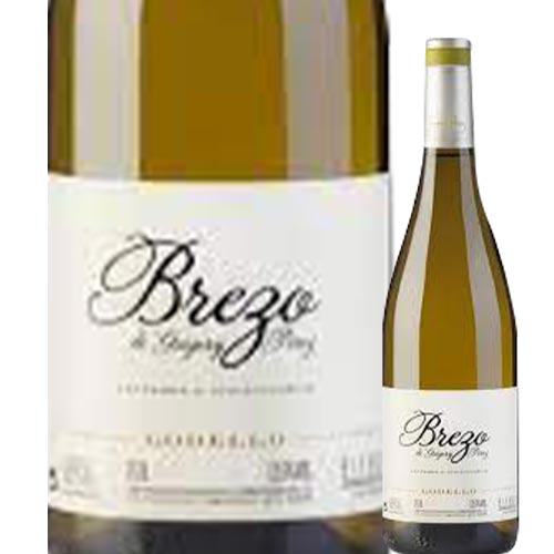 ブレゾ・ブランコ・ゴデーリョ ボデガス・イ・ヴィニェードス・メンゴバ 2019年 スペイン 白ワイン 辛口 750ml