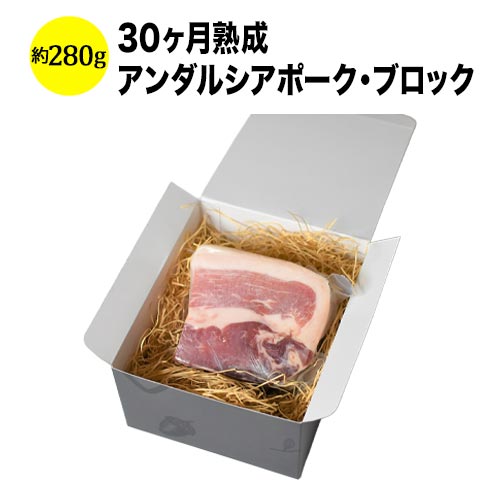 30ヶ月熟成アンダルシアポーク・ブロック（生ハムのミニ原木） スペイン カタルーニャ 生ハム 約280g