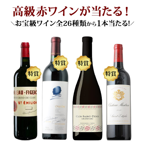 【数量・期間限定！】14周年記念・3連チャン！ソムリエ名物ワインくじ(赤ワイン)