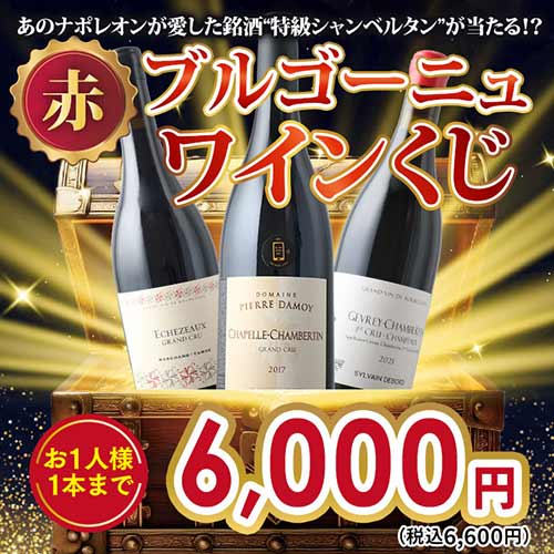 【WEB限定】数量・期間限定ブルゴーニュワインくじ(赤ワイン)