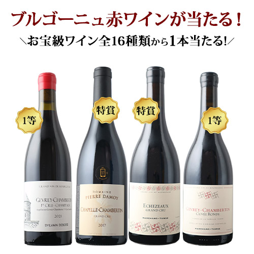 【WEB限定】数量・期間限定ブルゴーニュワインくじ(赤ワイン)