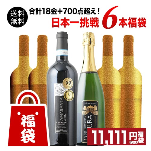 SALE「12」他店圧倒！ソムリエ大還元福袋・上級こだわりシャンパン2本 送料無料 シャンパンセット