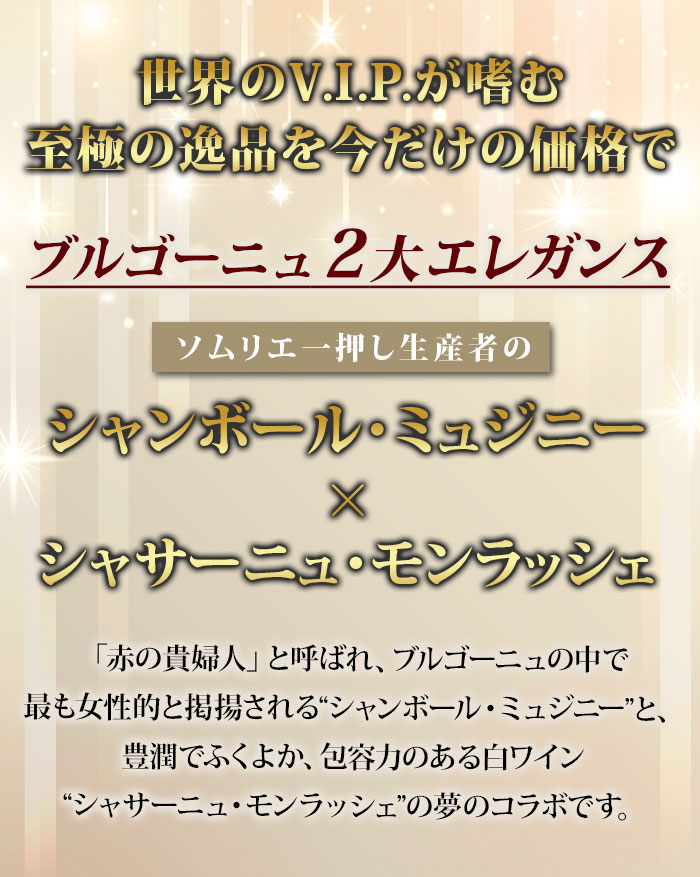 エレガンスを極めたブルゴーニュ銘醸赤白2本セット 送料無料 ミックスセット