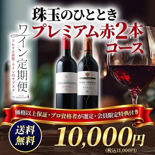 珠玉のひととき　プレミアム赤ワイン2本コース（1ヶ月毎お届け）送料無料 赤ワインセット