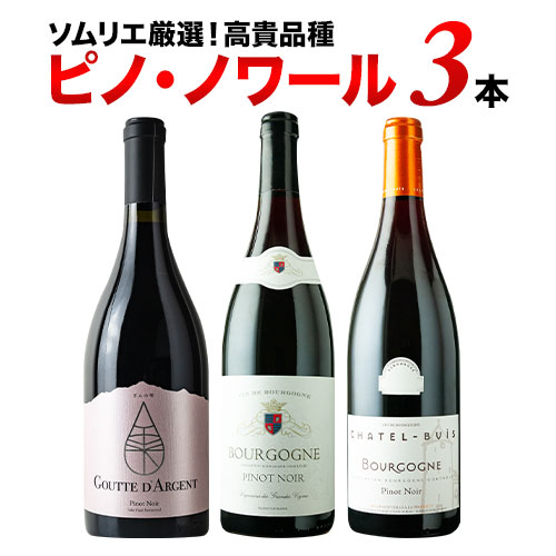 ピノ・ノワール3本セット 赤ワインセット【第31弾】「6/19更新」