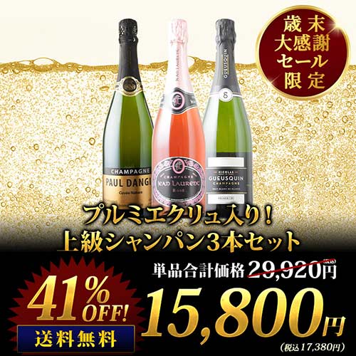 SALE「18」プルミエクリュ入り！上級シャンパン3本セット 送料無料 シャンパンセット（シャンパン2本・ロゼシャンパン1本）