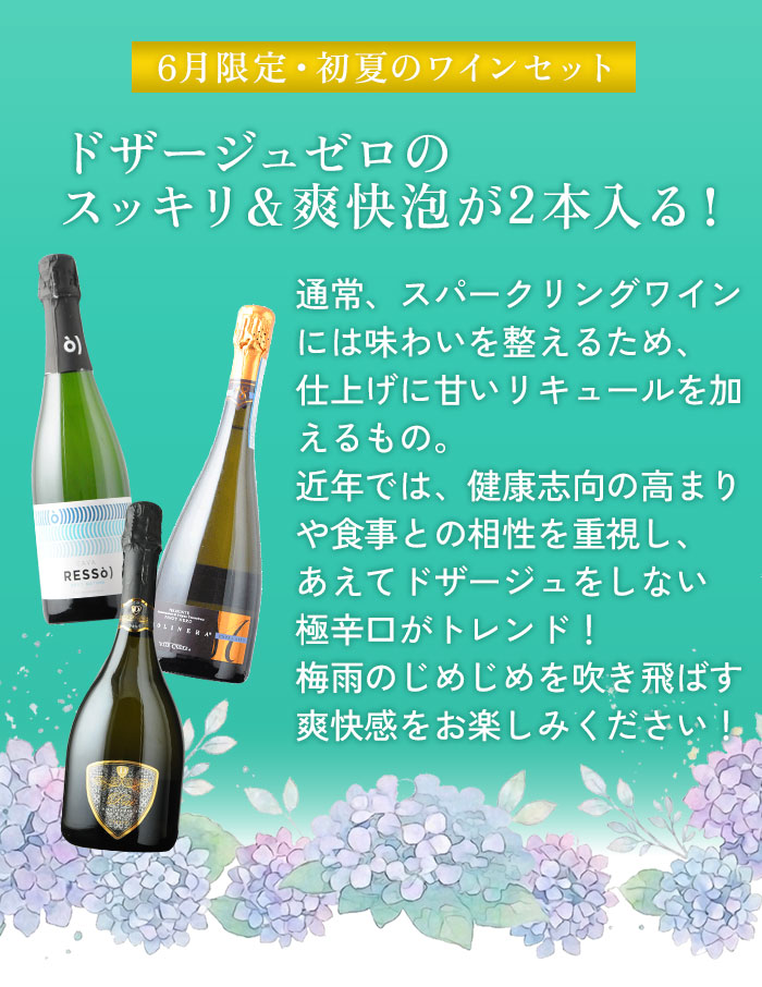 【梅雨を吹き飛ばす】極辛口スパークリング3本セット スパークリングワインセット