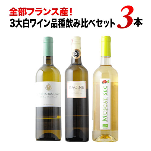 全部フランス産！3大白ワイン品種飲み比べセット 白ワインセット「2/5