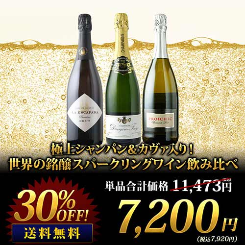 極上シャンパン&カヴァ入り!世界の銘醸スパークリングワイン飲み比べ 送料無料 シャンパン・スパークリングワインセット「10/17更新」