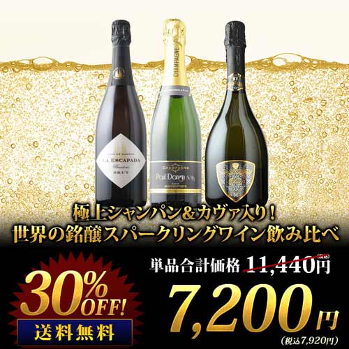 極上シャンパン＆カヴァ入り！世界の銘醸スパークリングワイン飲み比べ 送料無料 シャンパン・スパークリングワインセット「5/11更新」
