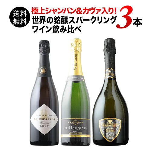 極上シャンパン＆カヴァ入り！世界の銘醸スパークリングワイン飲み比べ 送料無料 シャンパン・スパークリングワインセット「5/11更新」