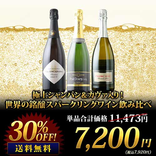 極上シャンパン＆カヴァ入り！世界の銘醸スパークリングワイン飲み比べ 送料無料 シャンパン・スパークリングワインセット「10/8更新」