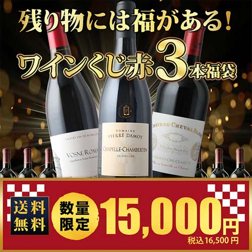 【WEB限定】残り物には福がある！ワインくじ赤3本福袋 (赤ワイン3本) 送料無料