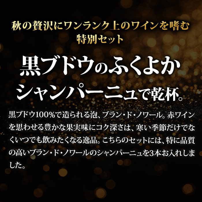 これからの季節に。コクありブラン・ド・ノワール3本セット 送料無料 ワインセット