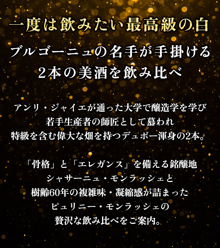 至高のピュリニー＆シャサーニュ飲み比べ2本セット 送料無料 白ワインセット