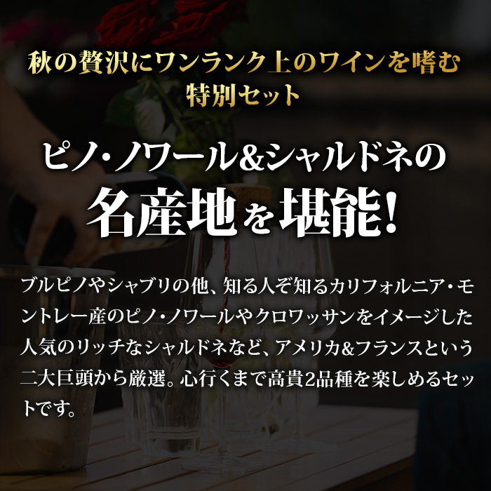 米仏から集めた高貴品種ピノ&シャルドネ贅沢飲み比べ6本セット 送料無料