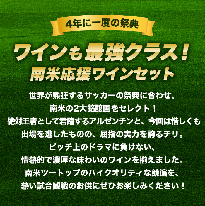 南米サッカーに魅せられて！熱狂のサウスアメリカセット