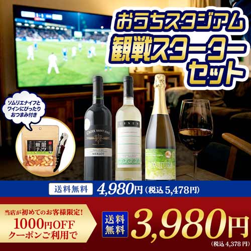 初回購入者限定クーポン付き！おうちスタジアム観戦スターターセット 送料無料