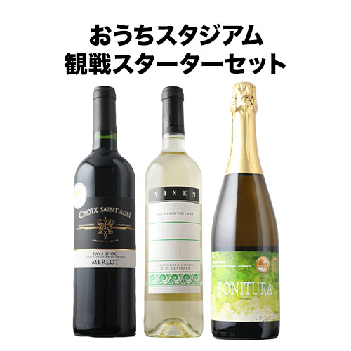 初回購入者限定クーポン付き！おうちスタジアム観戦スターターセット 送料無料
