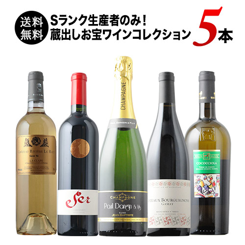 Sランク生産者のみ！蔵出しお宝ワインコレクション 送料無料 ワインセット